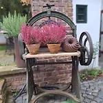 Rosige Zeiten, Ferien Im Fachwerkhof * 멕헤르니흐