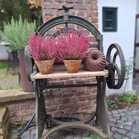 Rosige Zeiten, Ferien Im Fachwerkhof * Mechernich